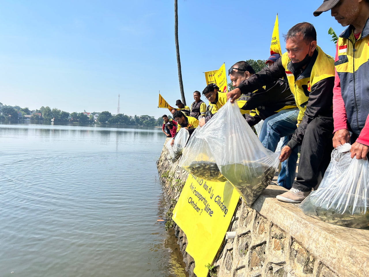 ​Peringati World Animal Day, Maxim Lakukan Aksi Bersih-bersih dan Lepas 10 Ribu Ekor Ikan Mas ke Danau Setu Cilodong Depok