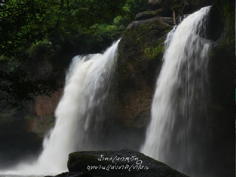 หนีความวุ่นวายในเมืองหลวงมาสัมผัสธรรมชาติที่เขาใหญ่ ปากช่อง