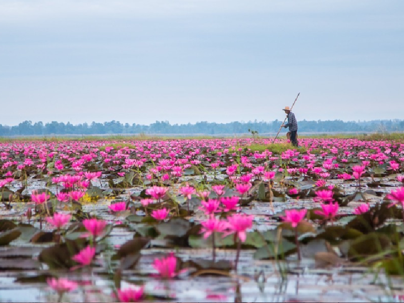 10 จุดเช็คอินที่สายเที่ยวอีสานห้ามพลาดในอุดรธานี